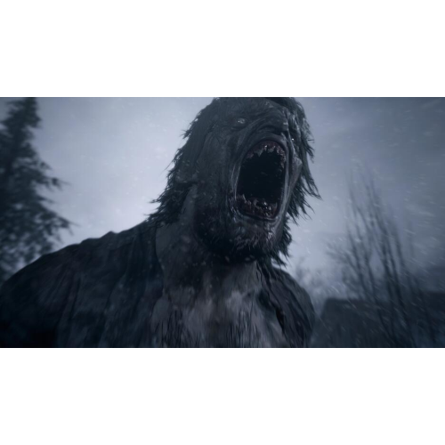 Resident Evil Village PS4/PS5 UK