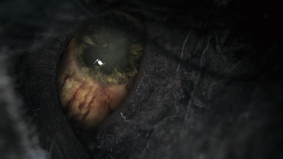 Bloodborne Game Of The Year (Goty) PS4 UK-Usato