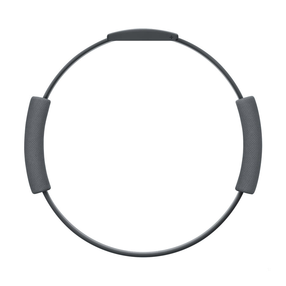 Ring Fit Adventure Switch