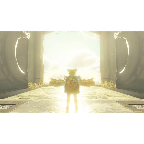 The Legend Of Zelda Tears Of The Kingdom SWITCH IT